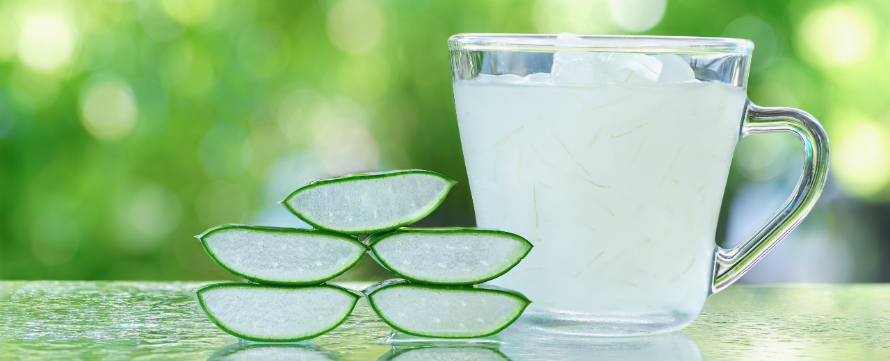 Comment utiliser l’aloe vera à la maison ? - Monde naturel & bio